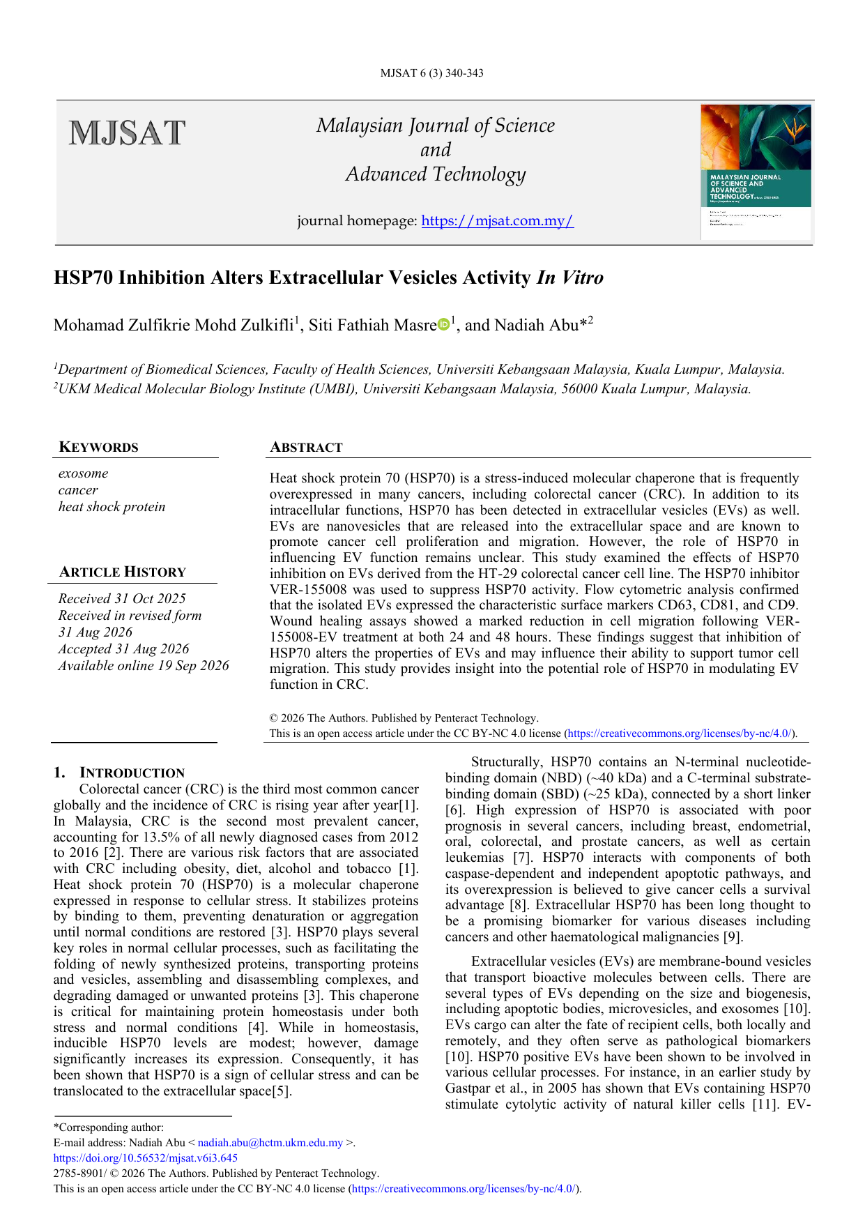 HSP70 Inhibition Alters Extracellular Vesicles Activity In Vitro
